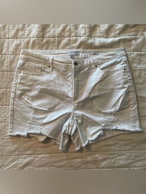 sofia by sofia vergara White Distressed Jean Shorts